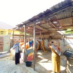 Monitoring Pelaksanaan kegiatan Triwulan IV Tahun 2023