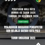 PERWALI NOMOR 45 TAHUN 2024 PENJABARAN ANGGARAN PENDAPATAN DAN BELANJA DAERAH KOTA PALU TAHUN 2025