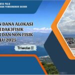 LAPORAN DANA ALOKASI KHUSU (DAK) FISIK REGULER DAN NON FISIK KOTA PALU 2025